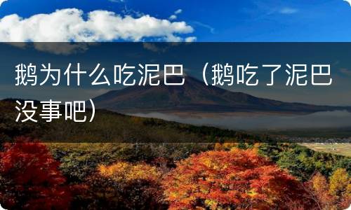 鹅为什么吃泥巴（鹅吃了泥巴没事吧）