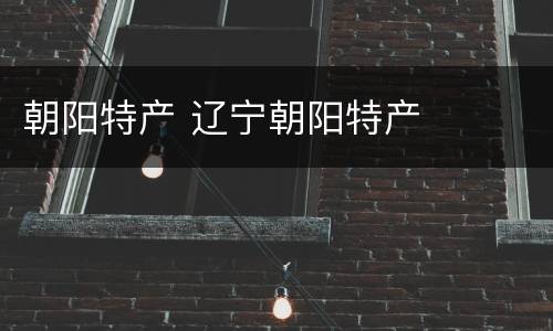 朝阳特产 辽宁朝阳特产