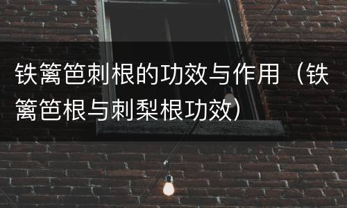铁篱笆刺根的功效与作用（铁篱笆根与刺梨根功效）