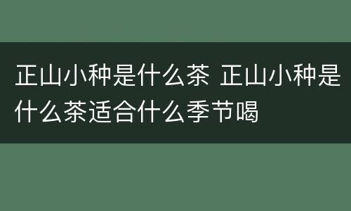 正山小种是什么茶 正山小种是什么茶适合什么季节喝