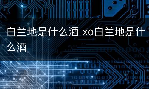 白兰地是什么酒 xo白兰地是什么酒