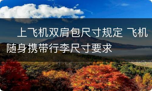 ​上飞机双肩包尺寸规定 飞机随身携带行李尺寸要求