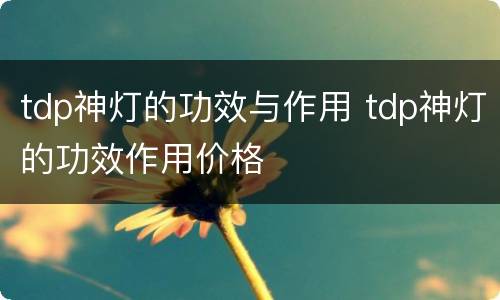tdp神灯的功效与作用 tdp神灯的功效作用价格