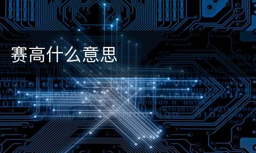 赛高什么意思