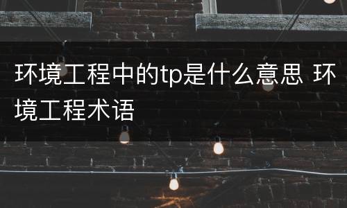 环境工程中的tp是什么意思 环境工程术语