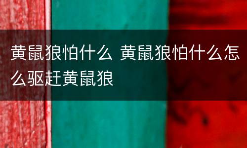 黄鼠狼怕什么 黄鼠狼怕什么怎么驱赶黄鼠狼