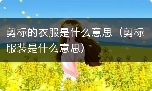 剪标的衣服是什么意思（剪标服装是什么意思）
