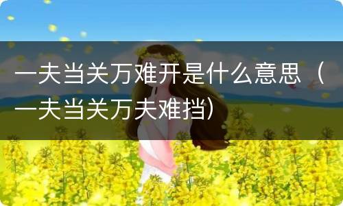 一夫当关万难开是什么意思（一夫当关万夫难挡）