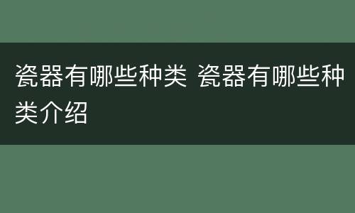 瓷器有哪些种类 瓷器有哪些种类介绍