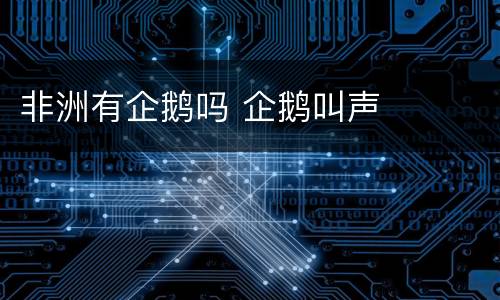 非洲有企鹅吗 企鹅叫声