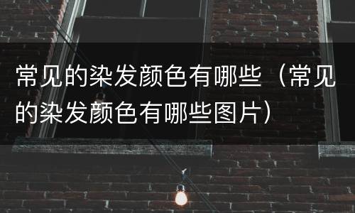 常见的染发颜色有哪些（常见的染发颜色有哪些图片）