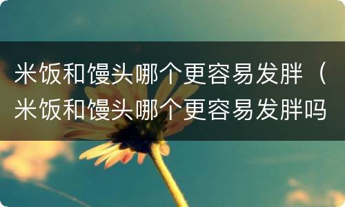 米饭和馒头哪个更容易发胖（米饭和馒头哪个更容易发胖吗）