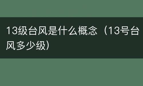 13级台风是什么概念（13号台风多少级）