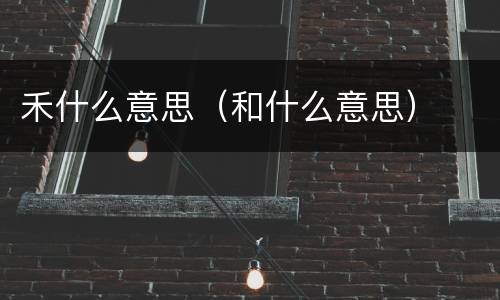 禾什么意思（和什么意思）