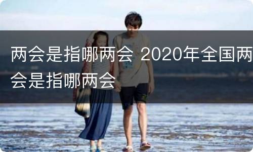 两会是指哪两会 2020年全国两会是指哪两会