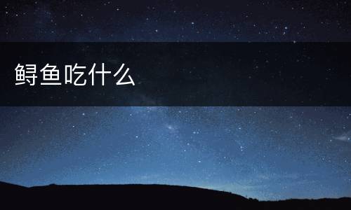 鲟鱼吃什么
