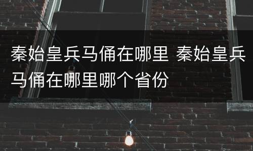 秦始皇兵马俑在哪里 秦始皇兵马俑在哪里哪个省份