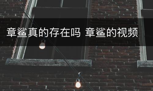 章鲨真的存在吗 章鲨的视频
