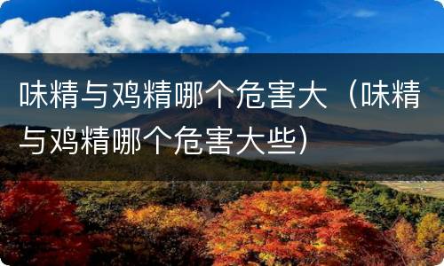 味精与鸡精哪个危害大（味精与鸡精哪个危害大些）