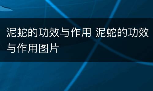 泥蛇的功效与作用 泥蛇的功效与作用图片