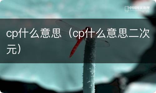 cp什么意思（cp什么意思二次元）