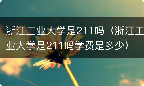 浙江工业大学是211吗（浙江工业大学是211吗学费是多少）