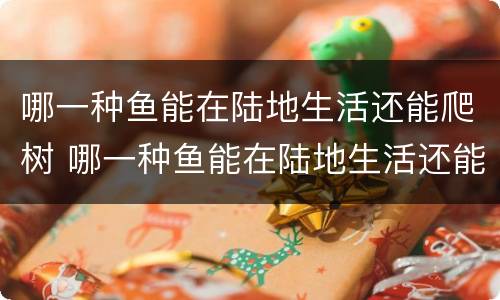 哪一种鱼能在陆地生活还能爬树 哪一种鱼能在陆地生活还能爬树呢