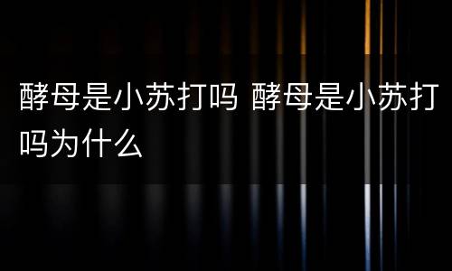 酵母是小苏打吗 酵母是小苏打吗为什么