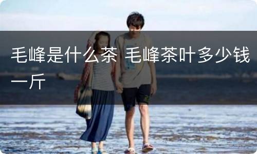 毛峰是什么茶 毛峰茶叶多少钱一斤