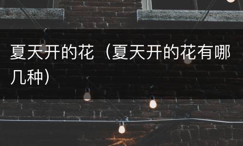 夏天开的花（夏天开的花有哪几种）