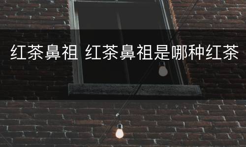 红茶鼻祖 红茶鼻祖是哪种红茶