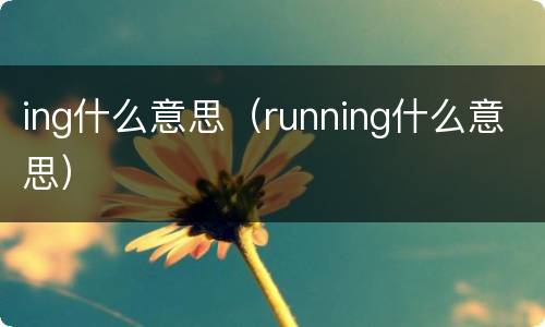 ing什么意思（running什么意思）