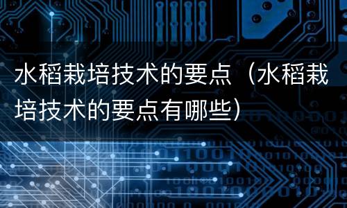 水稻栽培技术的要点（水稻栽培技术的要点有哪些）