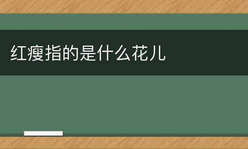 红瘦指的是什么花儿