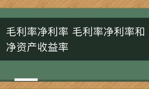 毛利率净利率 毛利率净利率和净资产收益率
