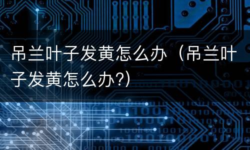 吊兰叶子发黄怎么办（吊兰叶子发黄怎么办?）