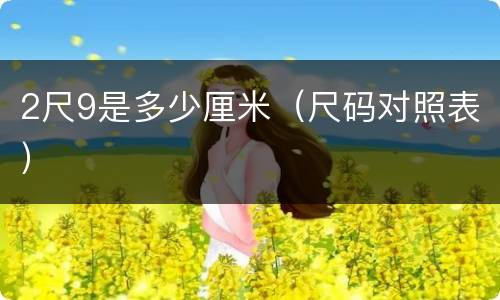 2尺9是多少厘米（尺码对照表）