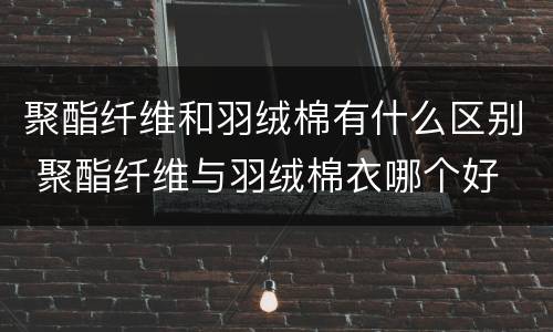 聚酯纤维和羽绒棉有什么区别 聚酯纤维与羽绒棉衣哪个好