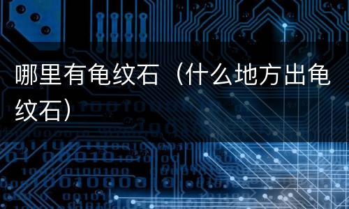 哪里有龟纹石（什么地方出龟纹石）