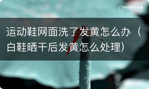 运动鞋网面洗了发黄怎么办（白鞋晒干后发黄怎么处理）