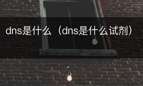 dns是什么（dns是什么试剂）
