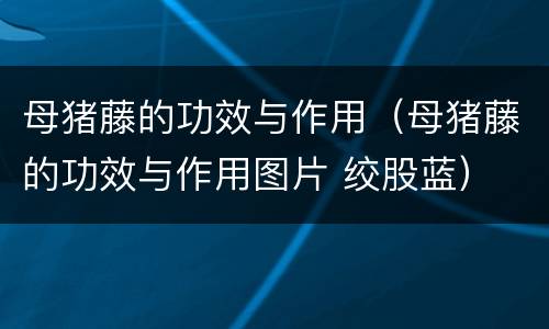 母猪藤的功效与作用（母猪藤的功效与作用图片 绞股蓝）