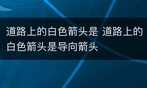 道路上的白色箭头是 道路上的白色箭头是导向箭头