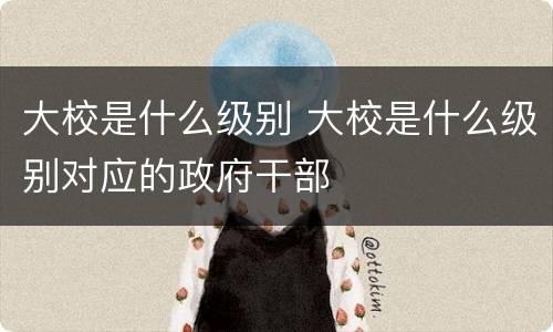 大校是什么级别 大校是什么级别对应的政府干部