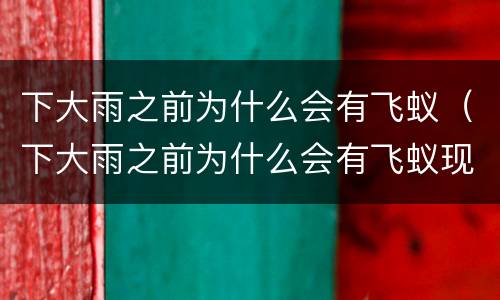 下大雨之前为什么会有飞蚁（下大雨之前为什么会有飞蚁现象）