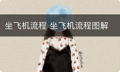 坐飞机流程 坐飞机流程图解