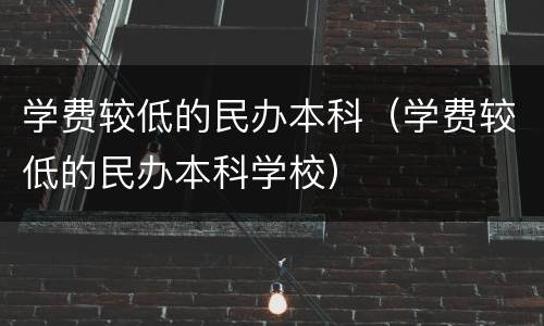 学费较低的民办本科（学费较低的民办本科学校）