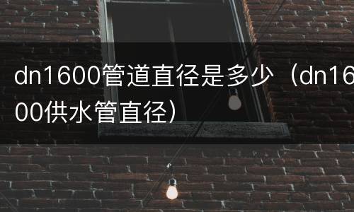 dn1600管道直径是多少（dn1600供水管直径）