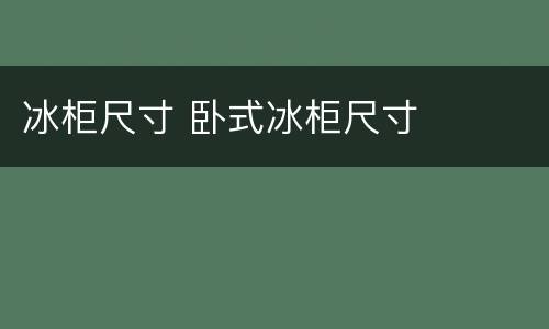 冰柜尺寸 卧式冰柜尺寸