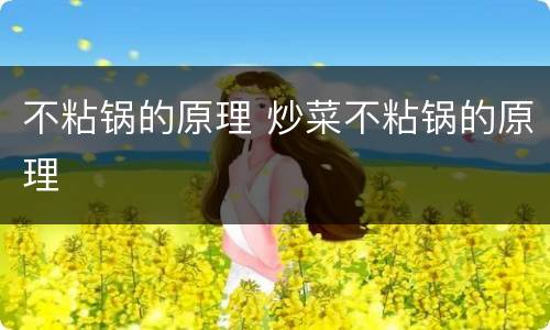 不粘锅的原理 炒菜不粘锅的原理